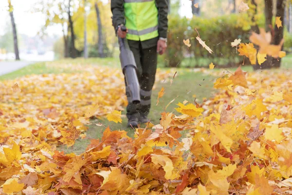 Refresh your landscape with Spring & Fall Cleanups
